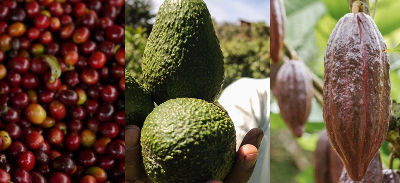 Productos más exportados de Colombia a China