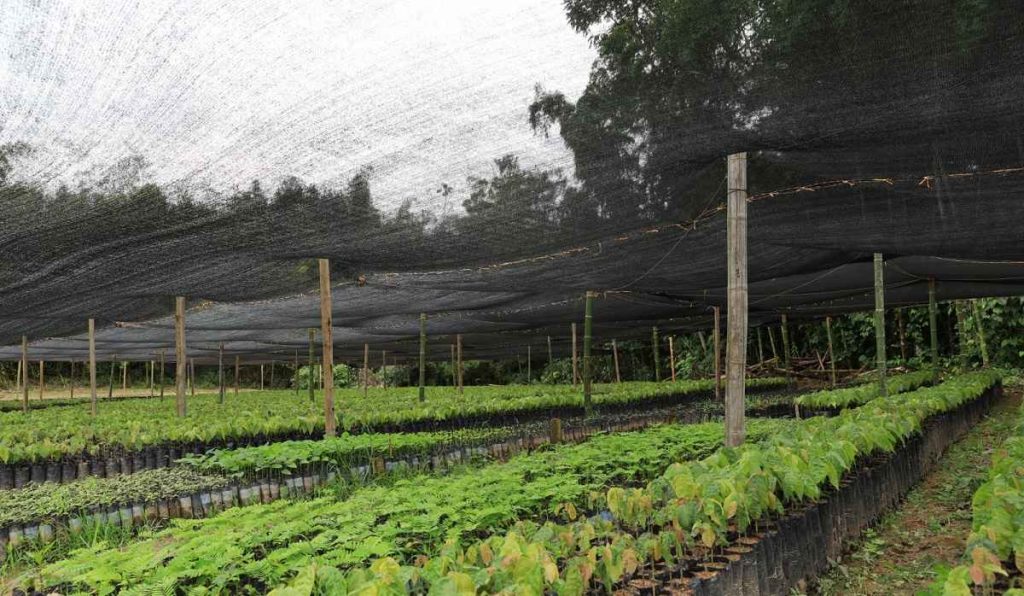Venta de bonos de carbono: Estrategia de EPM para ayudar a la lucha contra el cambio climático