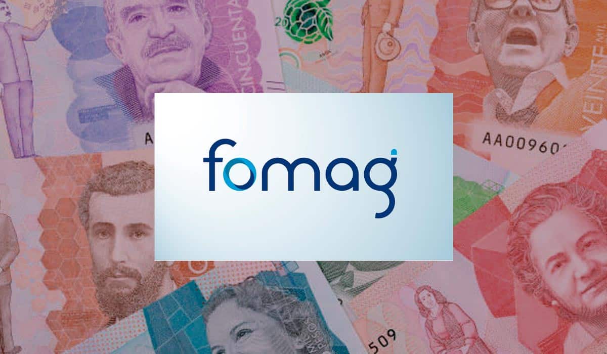 Home - Valora Analitik Fomag