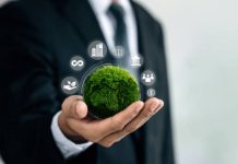 La importancia de la sostenibilidad en las empresas