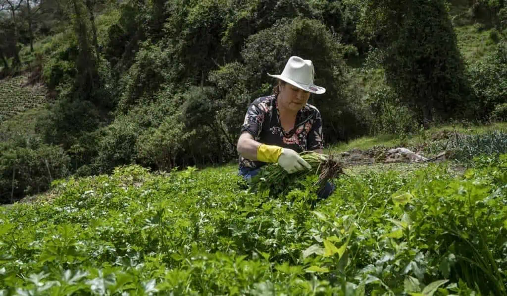 Así es como Bavaria ha logrado proteger más de 12.000 hectáreas en los páramos Agricultura
