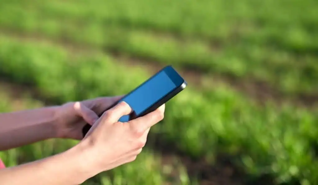 Así puede activar alerta sísmica de Google que notifica temblores en Colombia Ya Estoy Online Agro de Google
