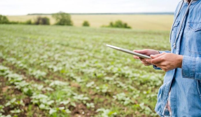 Google y la Cámara Colombiana de Comercio Electrónico impulsan la transformación digital del agro colombiano