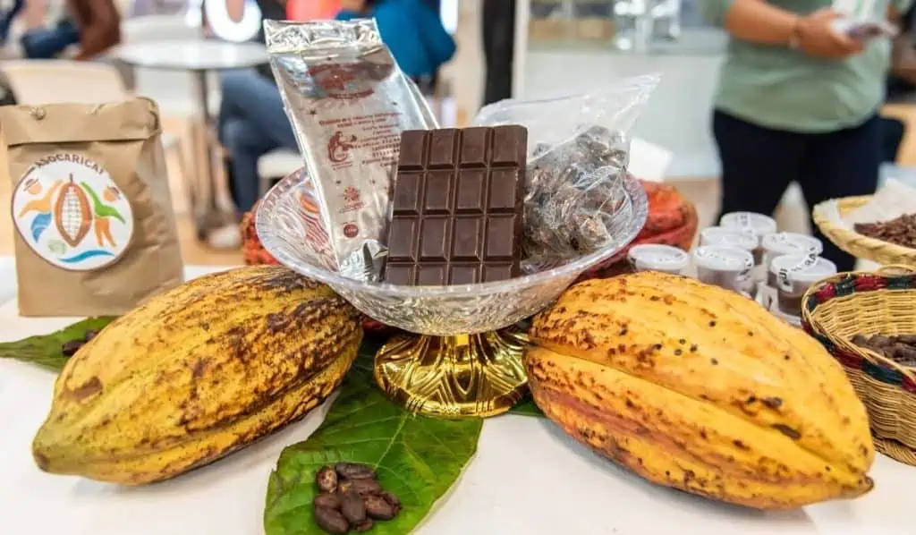 Precios del cacao aumentan a nivel mundial Chocoshow, feria del subsector cacaotero
