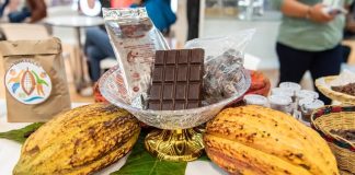 Chocoshow, feria del subsector cacaotero