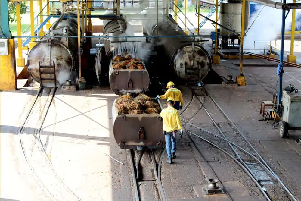 Daabon, de Santa Marta, es reconocida como la mejor empresa de aceite de palma del mundo Grupo Daabon