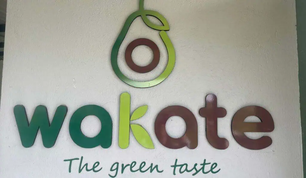 Wakate, empresa que exporta aguacate desde Colombia, busca reforestar el Caldas Wakate, empresa de exportación y sostenibilidad.