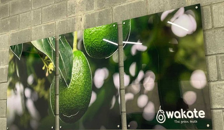 La Fundación Greenland, opera en Caldas con la empresa Wakate.