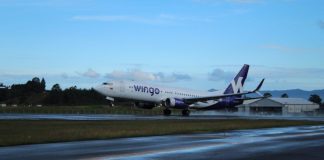 Wingo