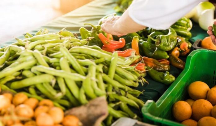 Industria de alimentos: Claves para reducir sus toneladas anuales de CO2