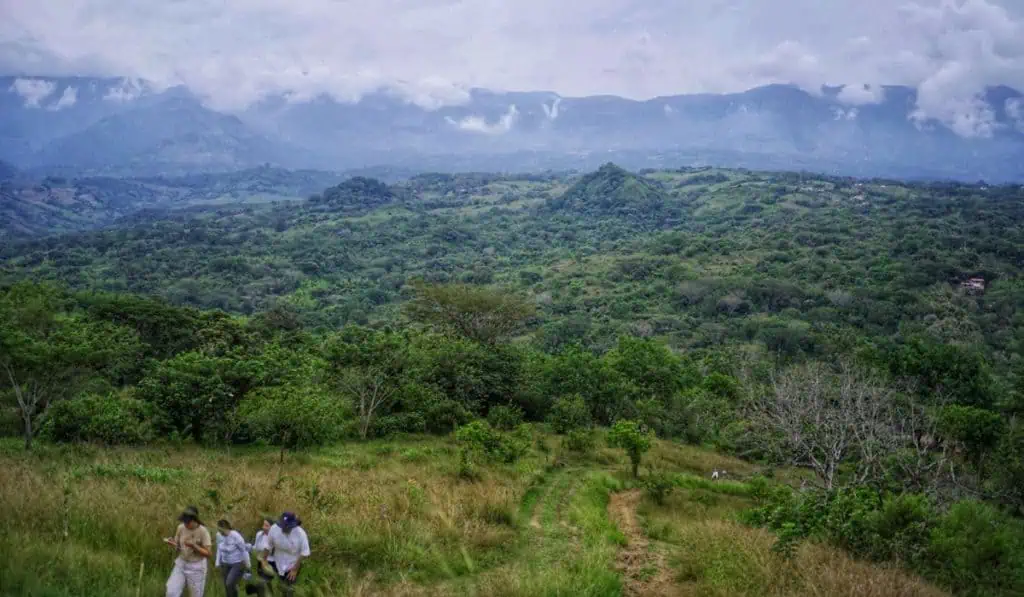 Biosuroeste: el proyecto de Comfama para el desarrollo de Antioquia Biosuroeste