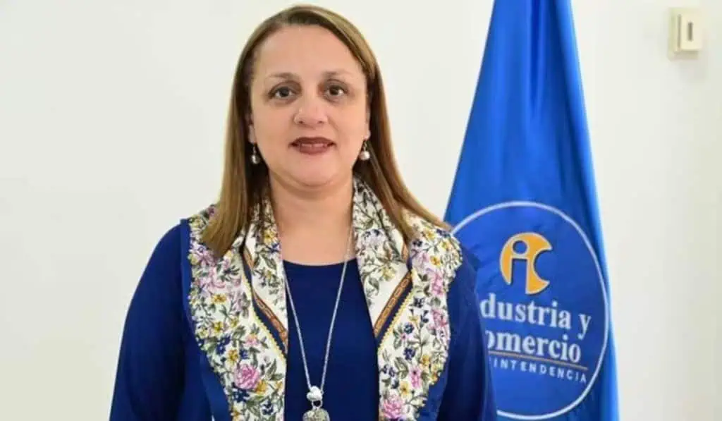 Gobierno designa superintendente ad hoc por impedimento de María Paula Arenas María del Socorro Pimienta declarada insubsistente como superintendente de Industria y Comercio