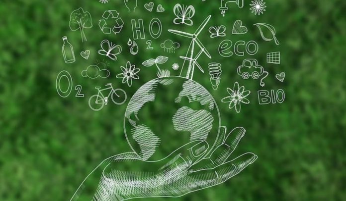 XM lanzó EcoClic, plataforma para que empresas cumplan objetivos de sostenibilidad