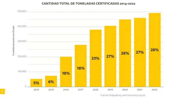 Barómetro Palmero Solidaridad Network: producción sostenible de palmicultura colombiana se consolida Aceite de palma en Colombia