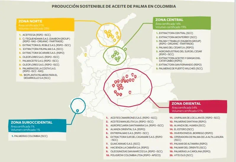 Barómetro Palmero Solidaridad Network: producción sostenible de palmicultura colombiana se consolida Aceite de palma en Colombia
