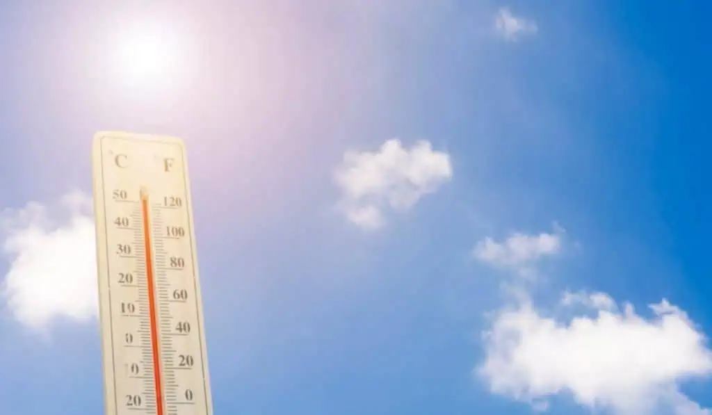 Fenómeno de El Niño: ¿Cómo ha sido el impacto en Colombia? El Niño sigue, cuando el Ideam lo de por terminado bajarán alertas: MinAmbiente