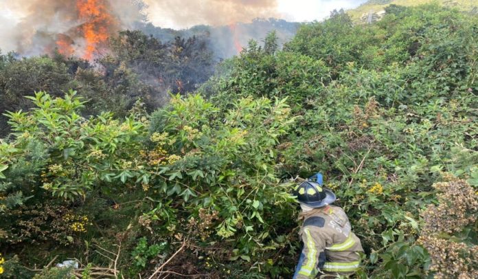 Imagenes del incendio este 22 de enero de 2024 en los cierros orientales de Bogotá