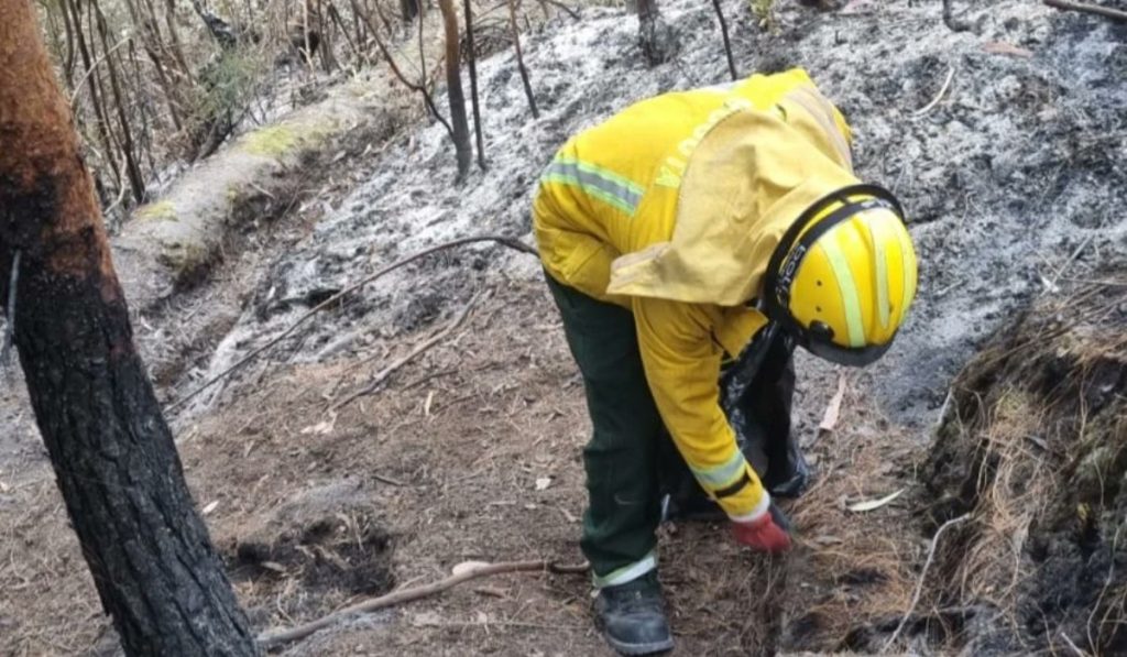 Incendio en quebrada La Vieja Bogotá