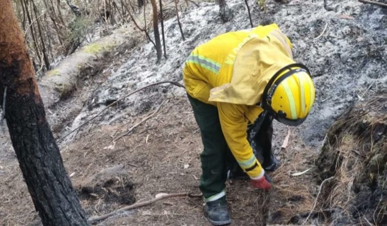 Incendio en quebrada La Vieja Bogotá