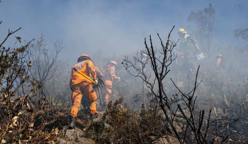 Los incendios de Bogotá fueron provocados por personas, esta es la millonaria sanción a la que se exponen Incendios Bogotá