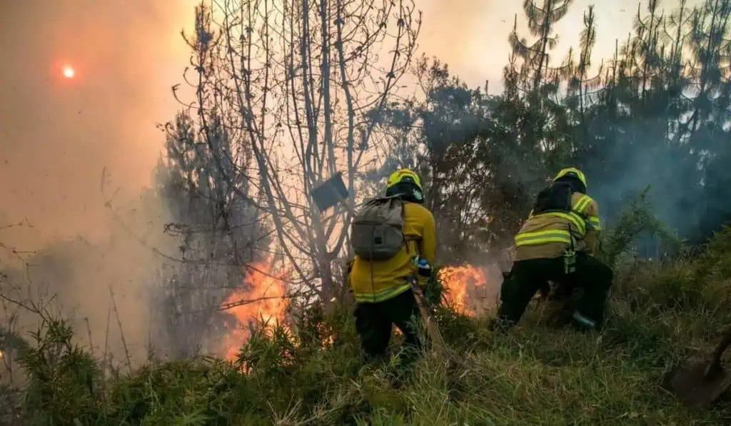 Alerta por incendios: 8 estaciones de medición de aire en Bogotá registran niveles críticos Incendios Bogotá