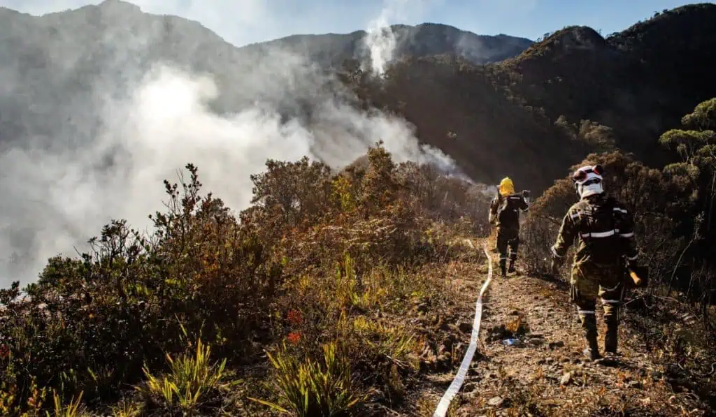 Petro alerta por impacto del Fenómeno de El Niño: Hay decreto por desastre natural Incendios se intensifican por presencia del Fenómeno de El Niño