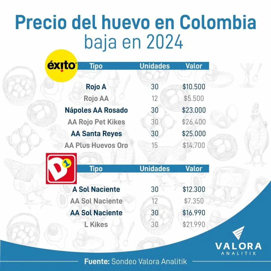 Precio del huevo en Colombia baja: ¿dónde están más baratos? Precio del huevo bajó en Colombia