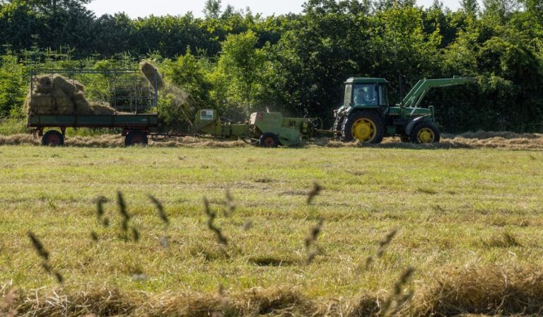 Comunidad Clúster Agroalimentario