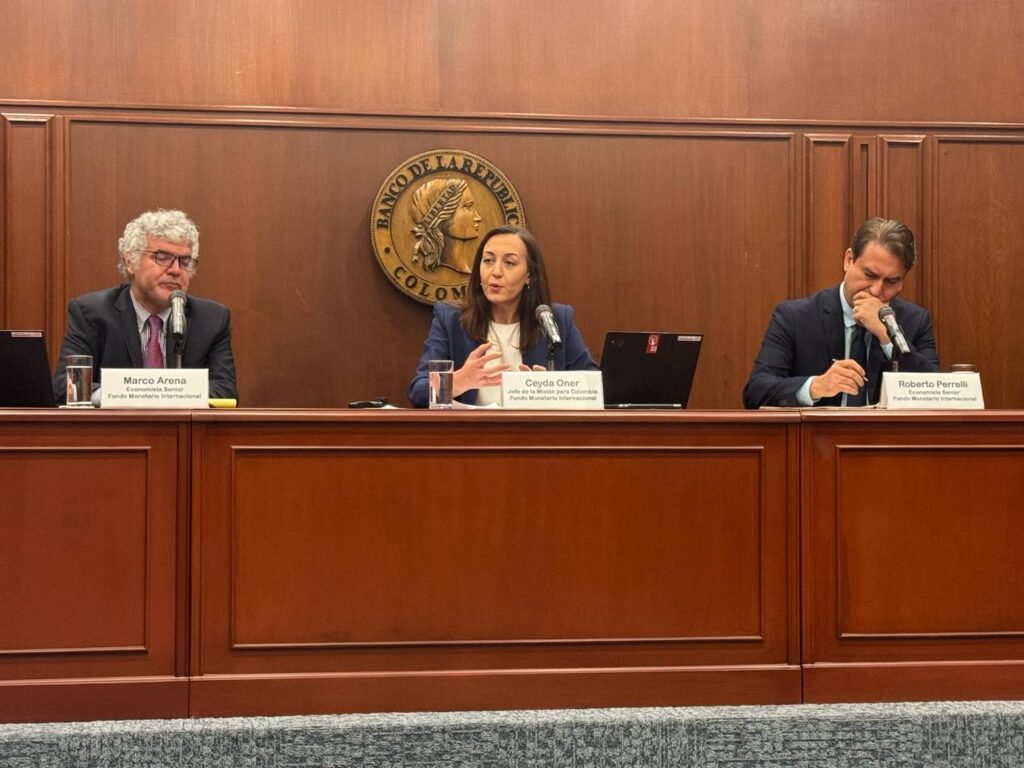 Ceyda Oner, Roberto Perrelli, Marco Arena, miembros del FMI