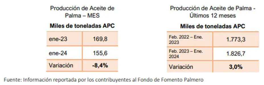 Producción de aceite de palma en Colombia inicia 2024 con fuerte caída Fedepalma