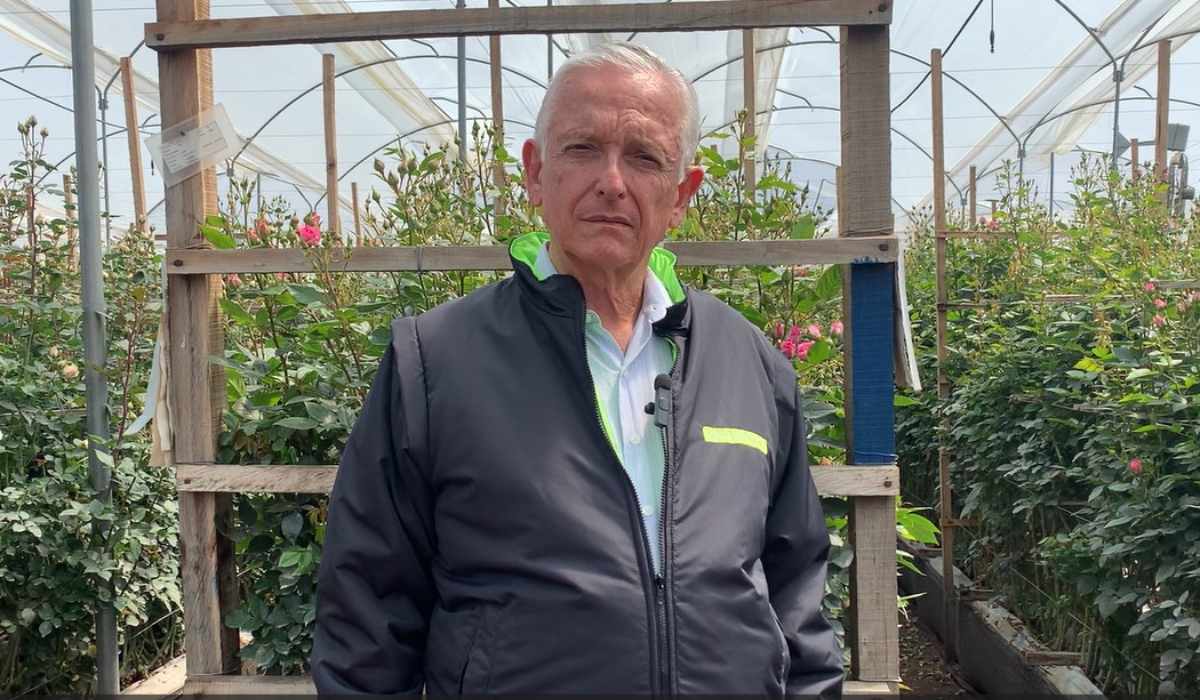 Asocolflores estima exportar 700 millones de flores en San Valentin