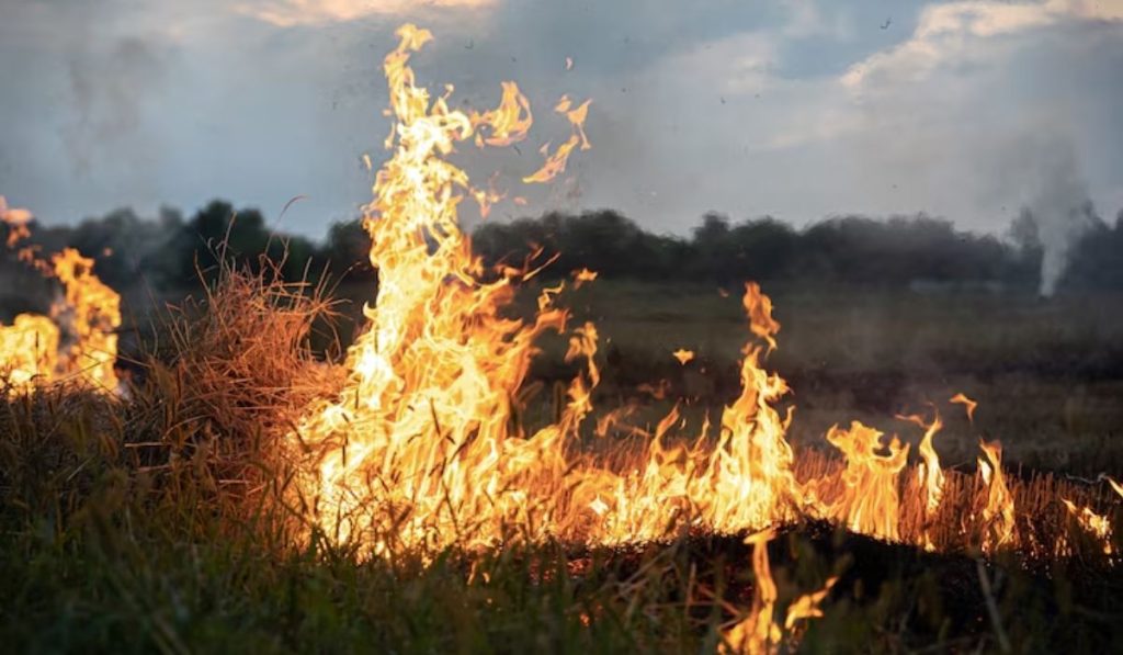 Fenomeno de El Niño en Colombia