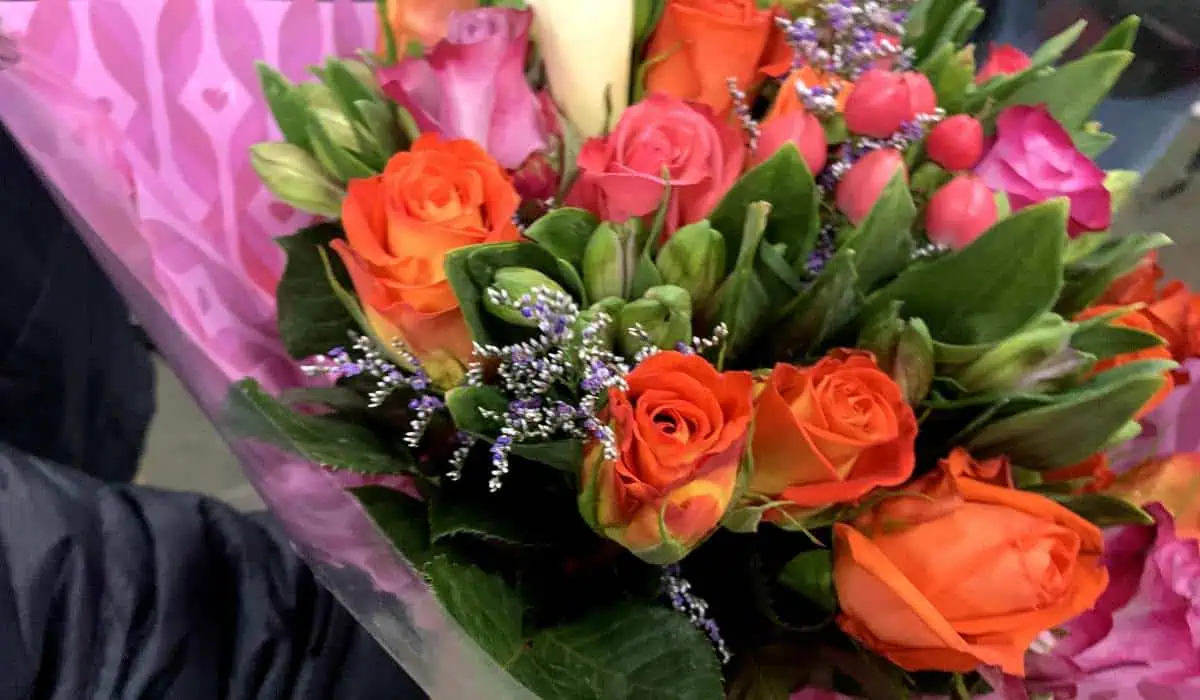 Asocolflores estima exportar 700 millones de flores en San Valentín; preocupa tasa de cambio Asocolflores