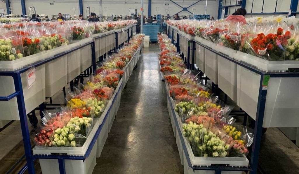 Laura Valdivieso, ex viceministra de Comercio Exterior, asume la Presidencia de Asocolflores Asocolflores