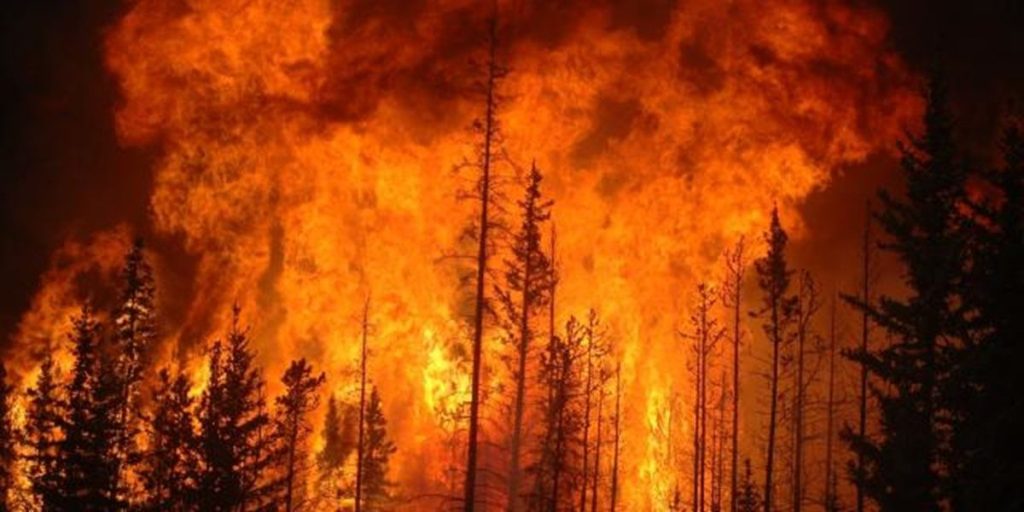 Incendios forestales en Chile dejan 51 muertos y amenazan las zonas urbanas