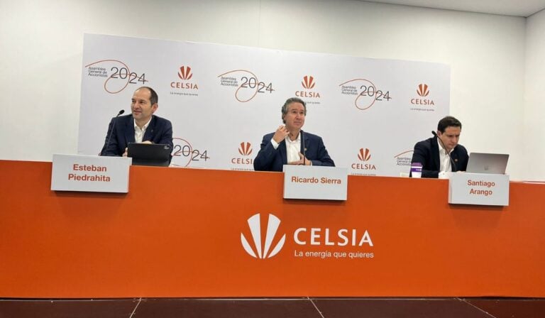 Inversiones Celsia 2024