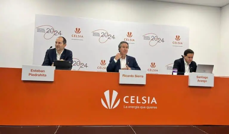 Inversiones Celsia 2024