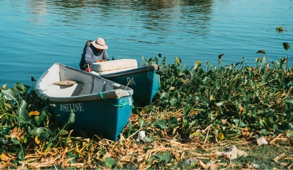 Bancolombia anuncia nueva convocatoria para acelerar emprendimientos con impacto rural En-Campo Bancolombia