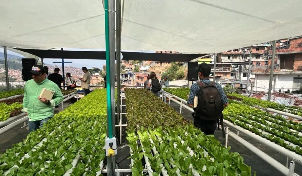 Así son las terrazas verdes de Postobón en la Comuna 13 de Medellín Terrazas verdes Postobón comuna 13