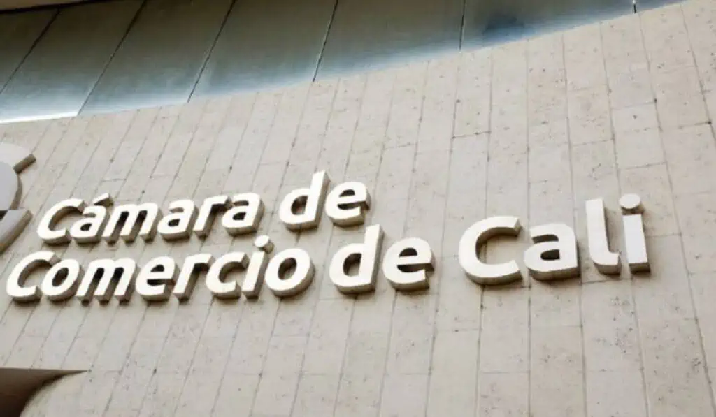 Más de 75.000 empresas participaron en la jornada de renovación mercantil de la Cámara de Comercio de Cali María del Mar Palau será la nueva presidenta ejecutiva de la Cámara de Comercio de Cali