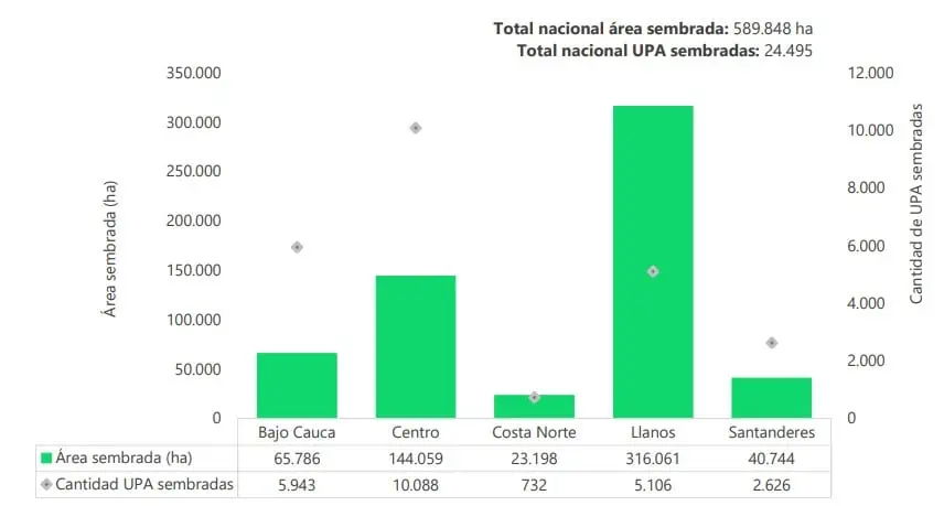 Área sembrada de arroz en Colombia creció 3,3 % en censo de 2023 Sector de arroz en Colombia