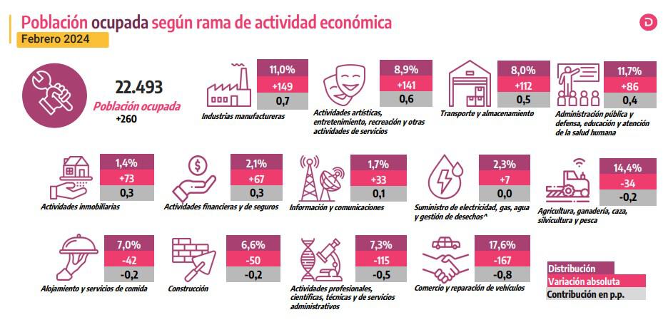 Comportamiento de empleabilidad por sectores en Colombia en febrero de 2024. Imagen: Dane