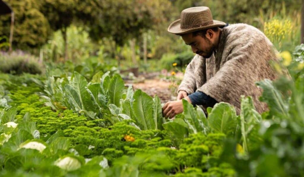 Campesinos en Colombia