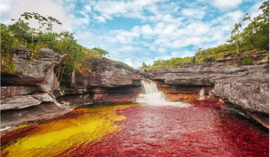 Colombia gana demanda Caño Cristales
