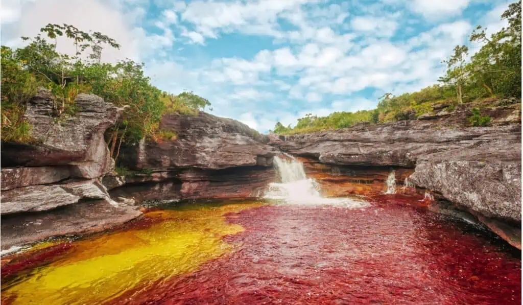 Colombia gana demanda a firma que quería perforar petróleo y gas cerca a Caño Cristales Colombia gana demanda Caño Cristales