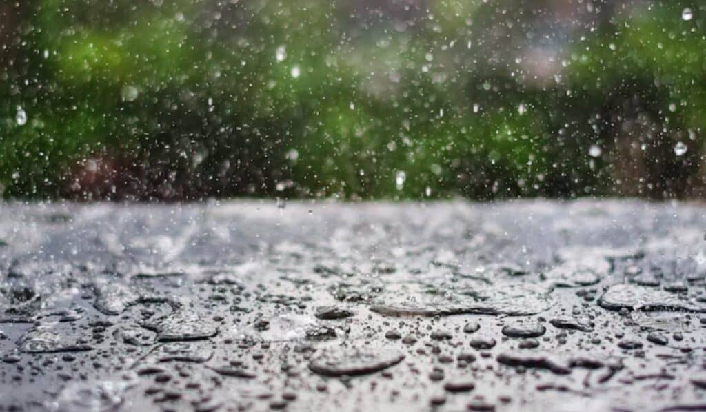 Así podrá reportar emergencias ocasionadas por fuertes lluvias en Bogotá