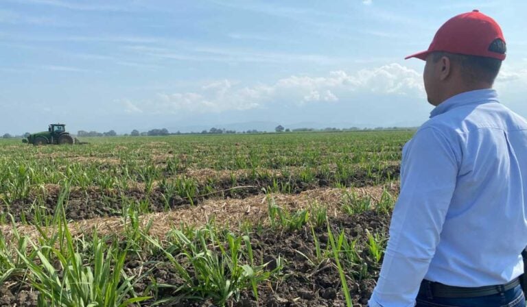 Riopaila Castilla alcanza nivel plata en el Farm Sustainability Assessment (FSA) Riopaila