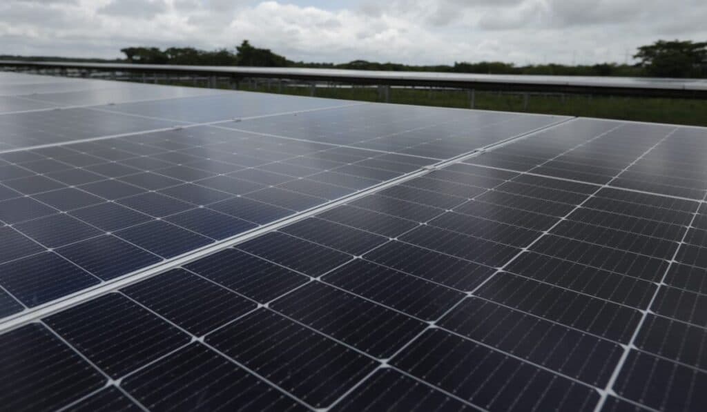 90 proyectos solares fueron instalados por Ziklo Solar en 2024: completó 17 MW