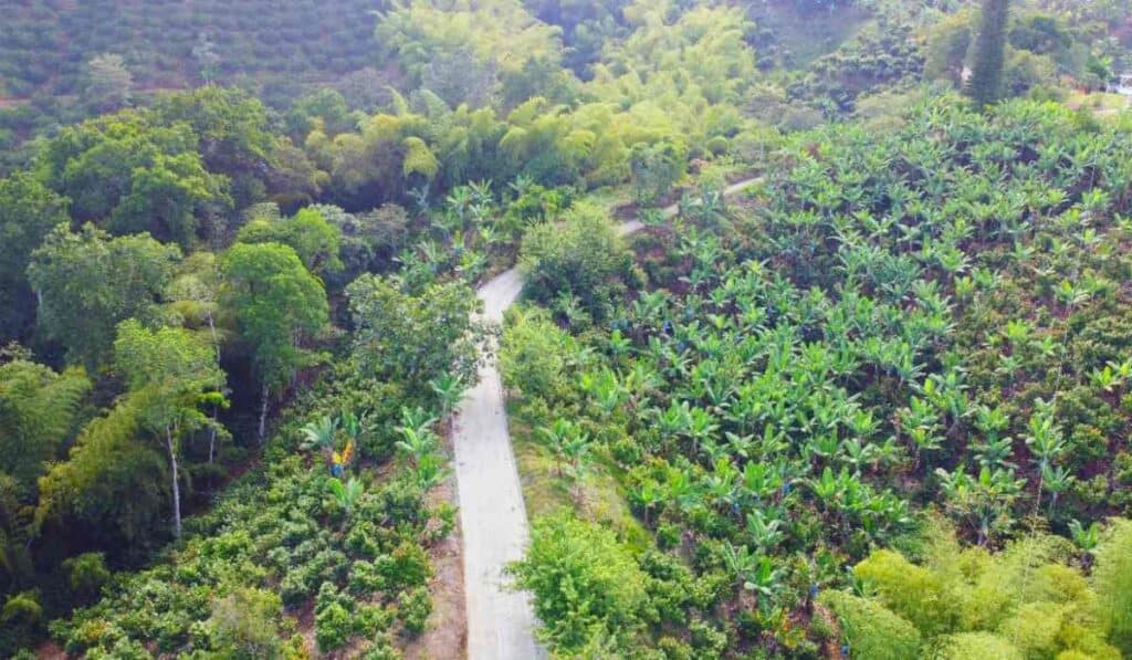 Vías terciarias de Juntas de Acción Comunal