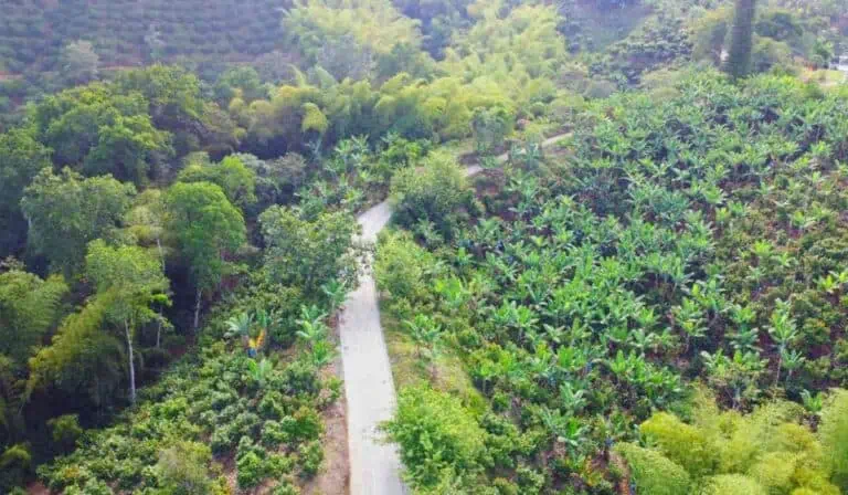 Vías terciarias de Juntas de Acción Comunal